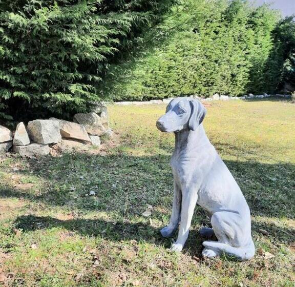 住宿加早餐  The Cottage