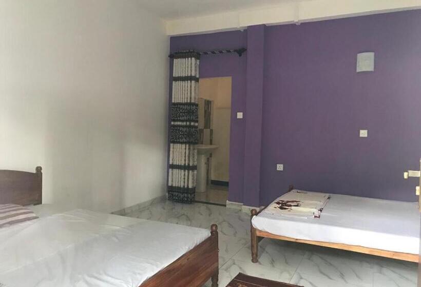 Pension Pine Wood Guest Inn