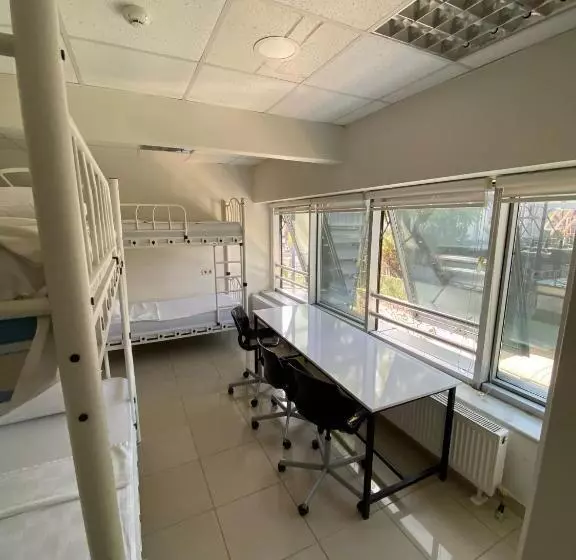 Bull Hostel