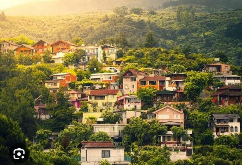 تختخواب و صبحانه Grand Macit Otel