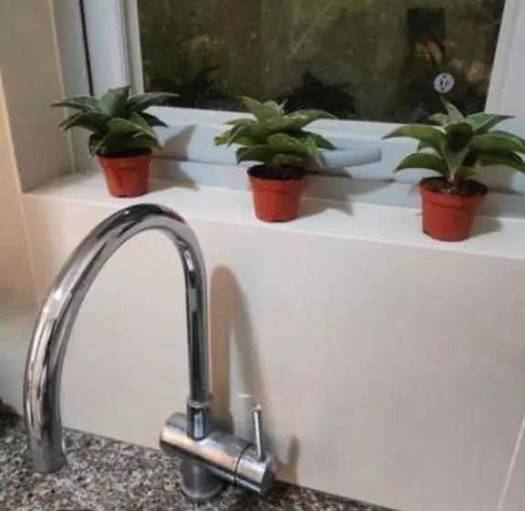 The Verdin At Maple Grove