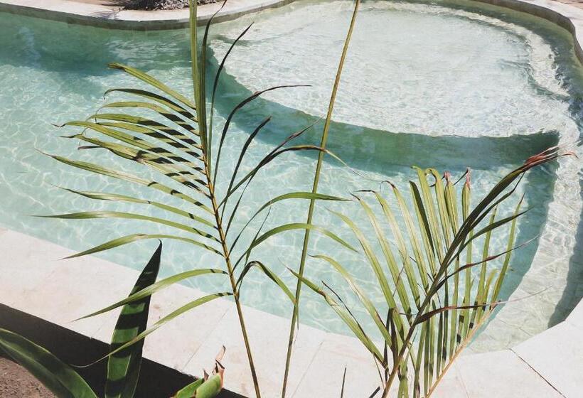 Bed and Breakfast Casa Kapuas