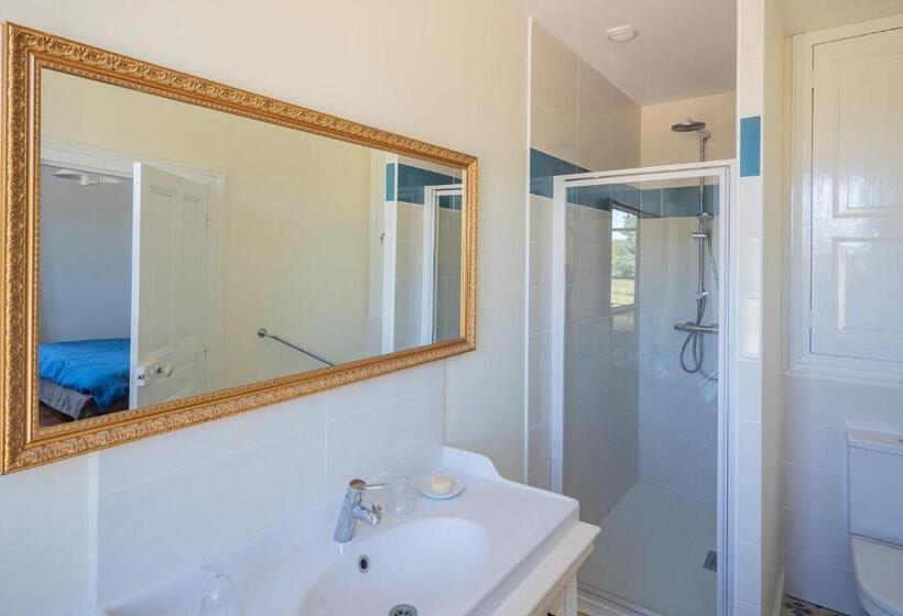 ベッドアンドブレックファースト Manoir Du Val Fouzon