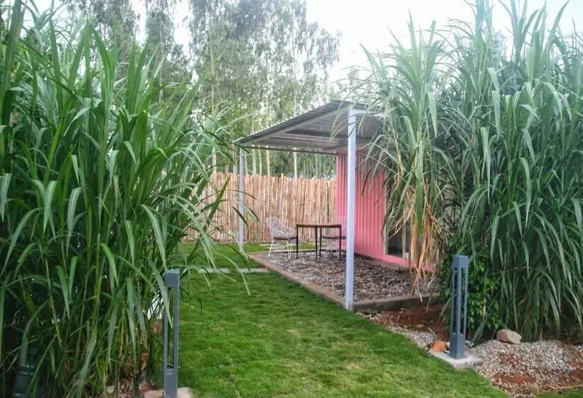 Clapping Leaves Resort