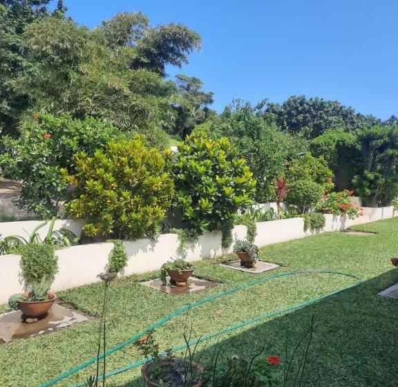 ペンション Tropicana Guesthouse