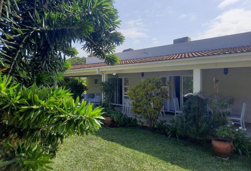 ペンション Tropicana Guesthouse