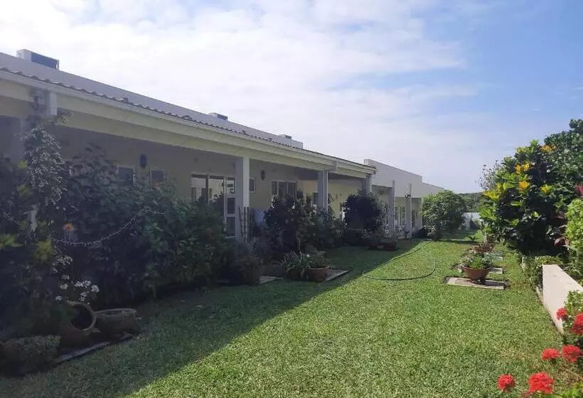 Majatalo Tropicana Guesthouse