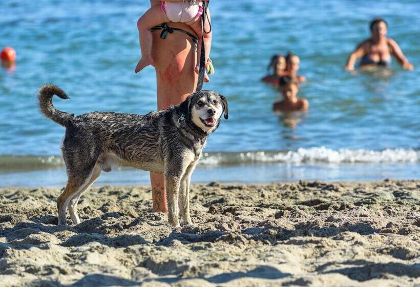 Isa Appartament Standard 4 Beds, Air Conditioning And Private Outdoor Area In Village With 6 Swimmin