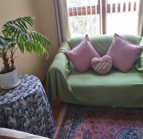 بنسيون Seti S Place