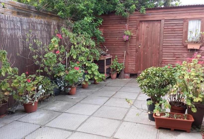 بنسيون Seti S Place