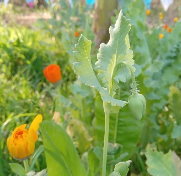 הוסטל Espacio Circular