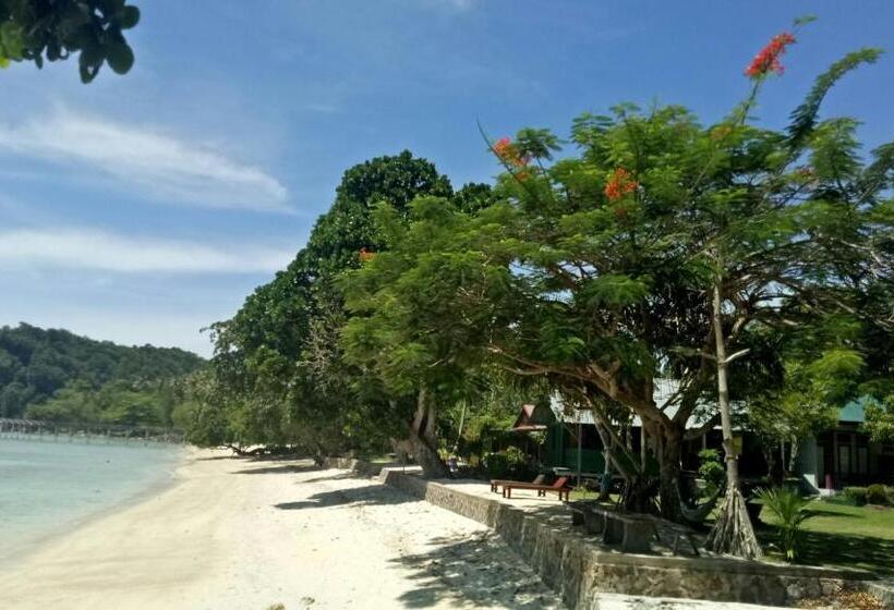 Hostel Panorama Seulako