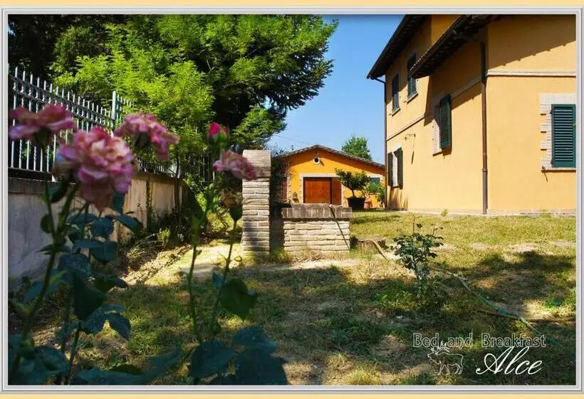 B&b Alce