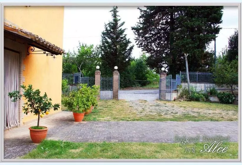 B&b Alce