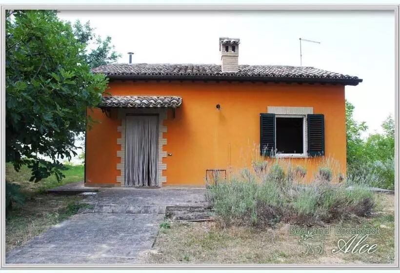 B&b Alce