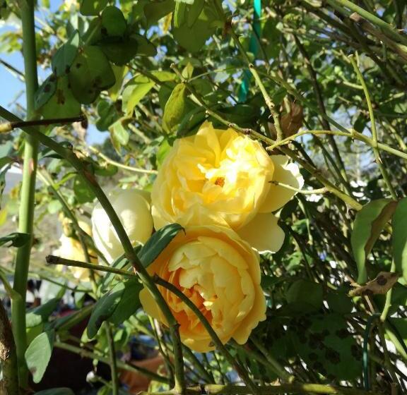 酒店 Agriturismo Ca  Preda