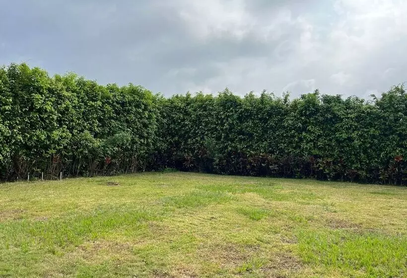 ホテル Finca Tabacalera Tafisa By Oyo