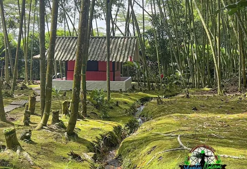 Hotelli Mystic Natural