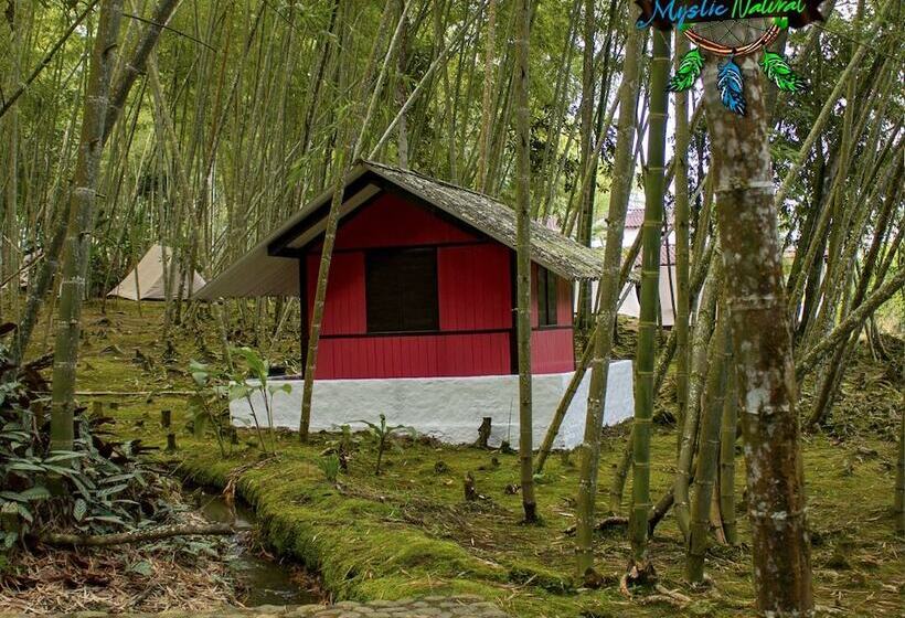 ホテル Mystic Natural