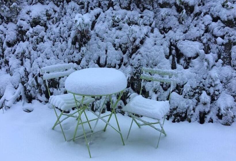 فندق Barnabrow Country House