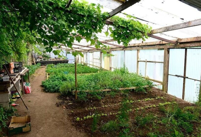 فندق Barnabrow Country House