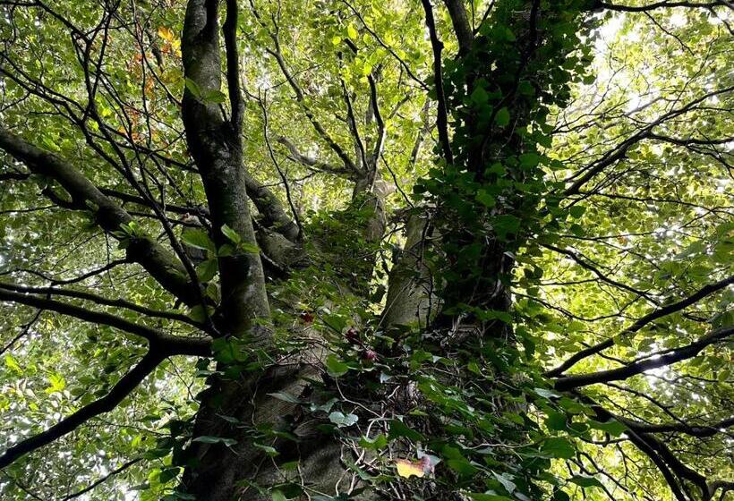 Пансион Le Manoir De La Belle Epoque