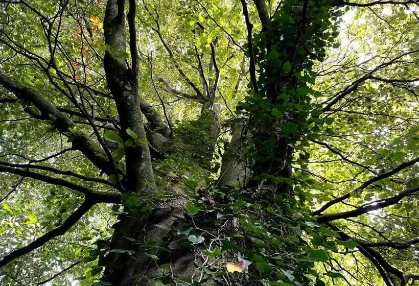 ペンション Le Manoir De La Belle Epoque