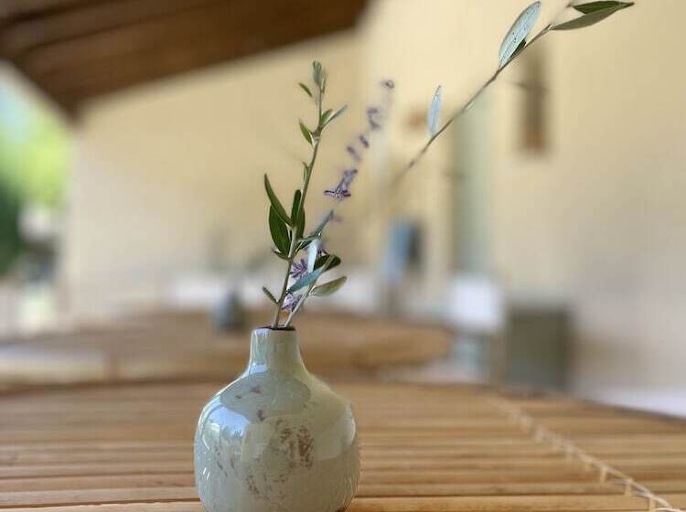 田舎風ホテル Mas Millésime