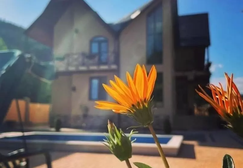 Villa Alexander Hotel Dilijan