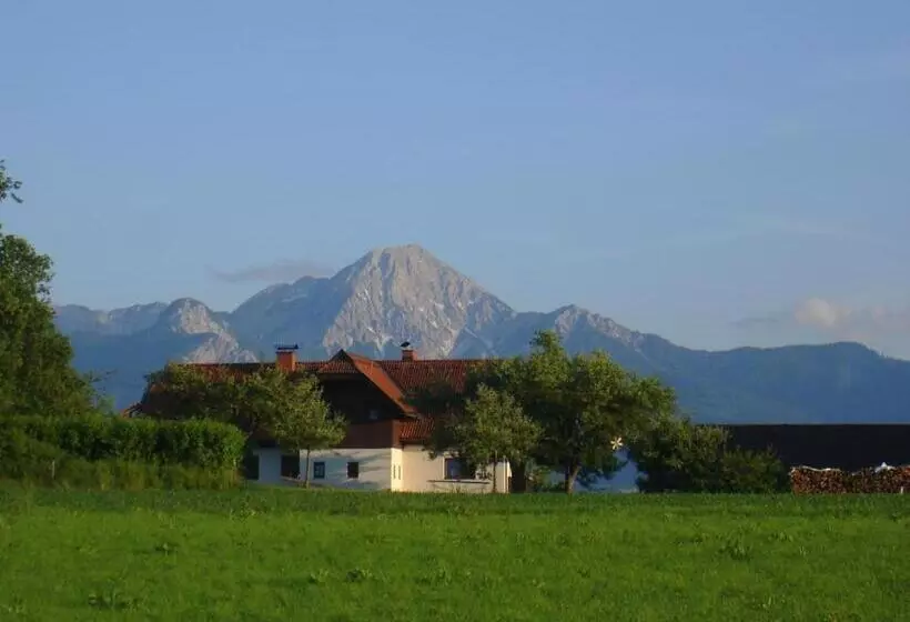 ホテル Bauerborchardt   Urlaub Am Bauernhof Bei Familie Borchardt