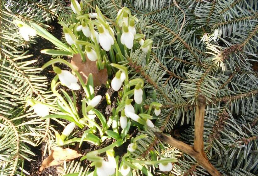 호텔 Haus Panorama