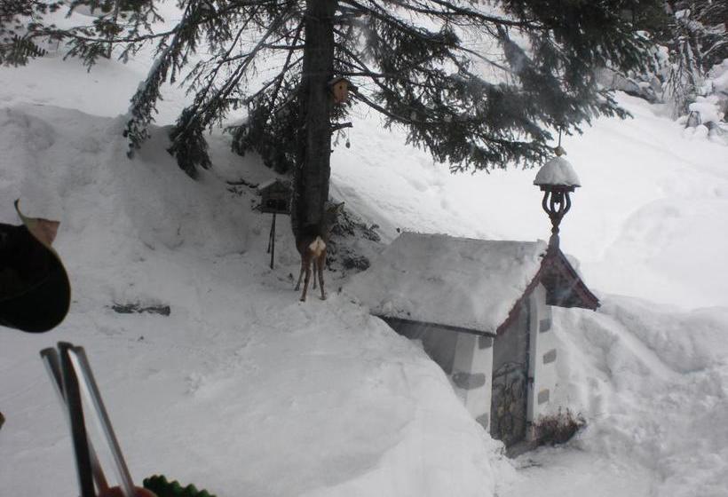 酒店 Haus Waldheim