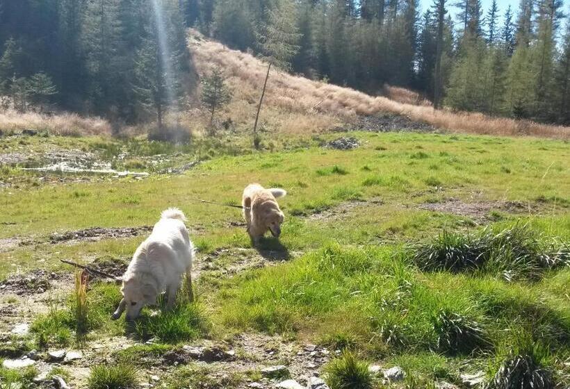 ホテル Hubertushof