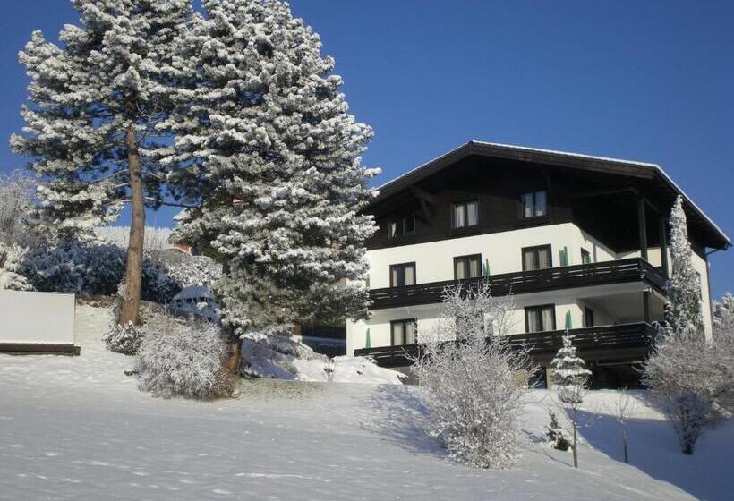 酒店 Pension Seirer