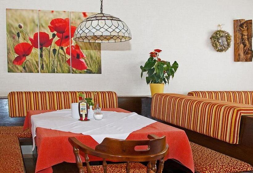 酒店 Pension Seirer