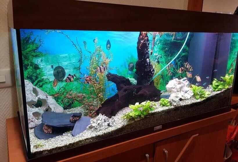 酒店 Pension Seirer