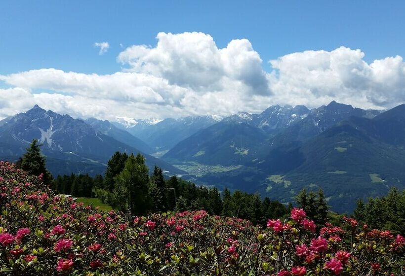 Отель Tiroler Alpenhof