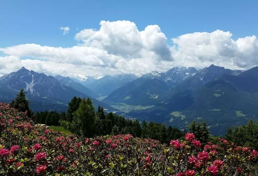ホテル Tiroler Alpenhof