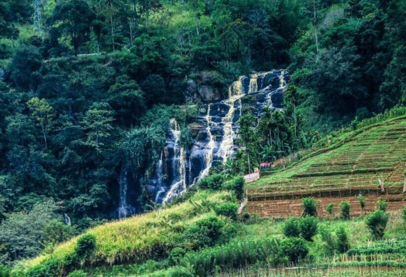 تختخواب و صبحانه Blue Heaven Cottage