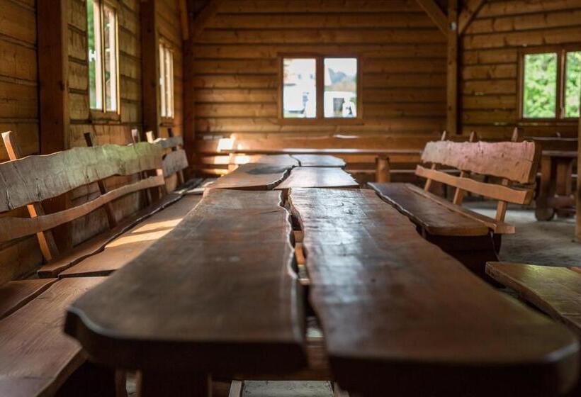 בית מלון כפרי Kyriad Karkonosze