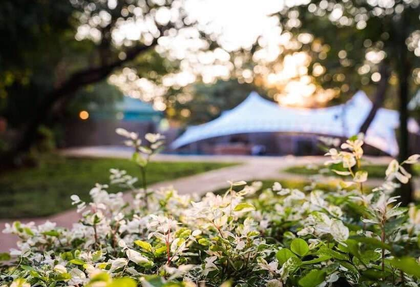 هتل Zambezi Boutique