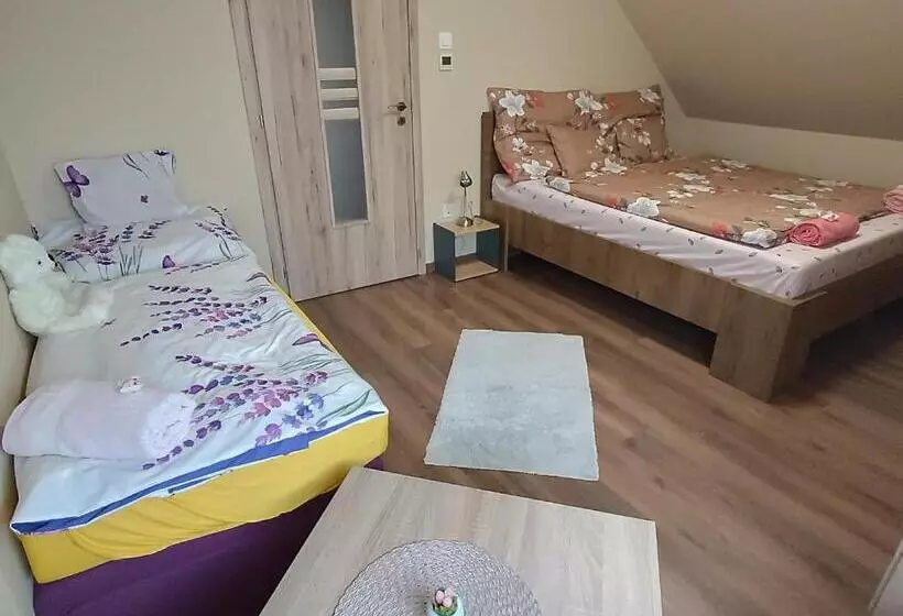 پانسیون Holt Tisza Vendégház