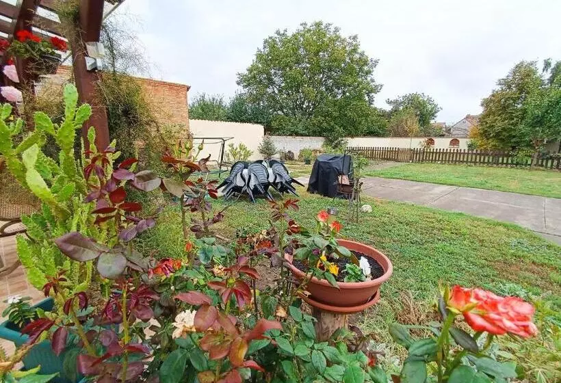 پانسیون Holt Tisza Vendégház