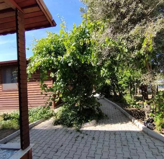 Aamiaismajoitus (B&B) Kandyba Restoran & Bungalov