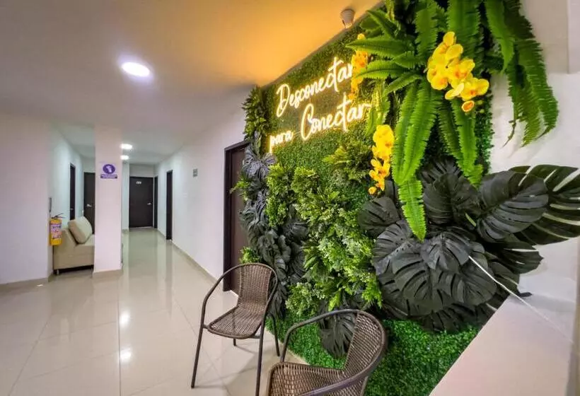 ホテル Boutique Veracruz Termales