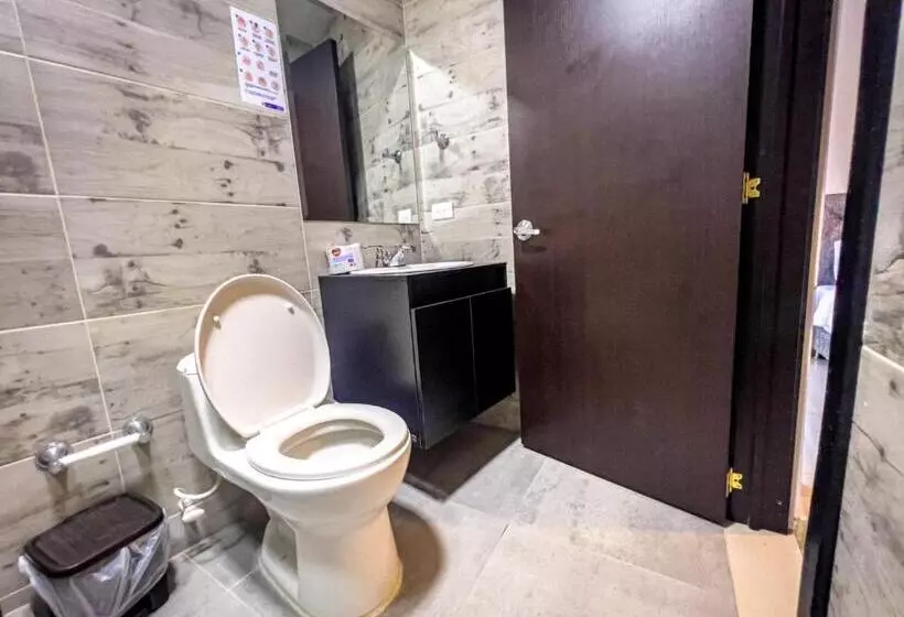 ホテル Boutique Veracruz Termales