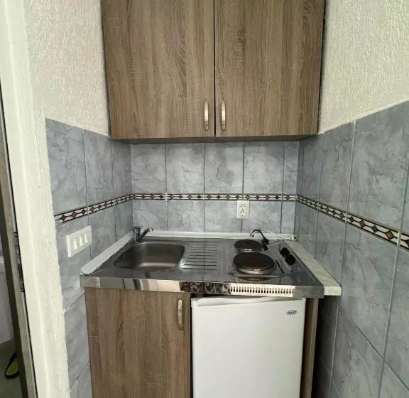 پانسیون Apartmani Hadžić