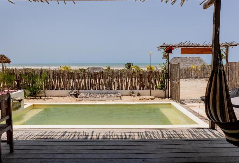 膳宿费 Casa Da Duna