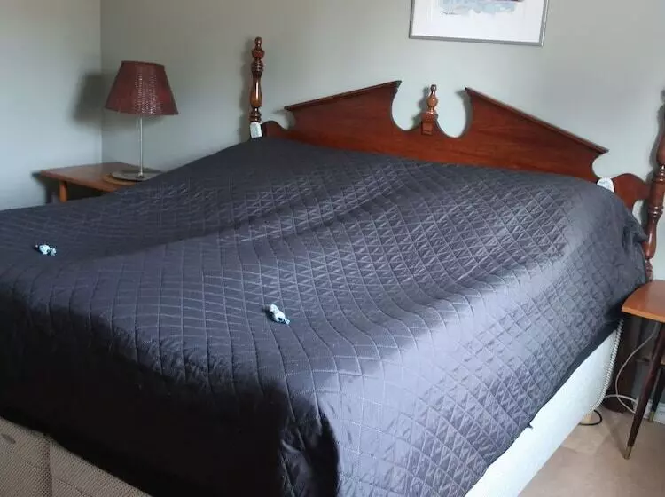 ベッドアンドブレックファースト Hälsokällan