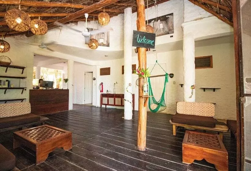 ホテル Ak'na Holbox